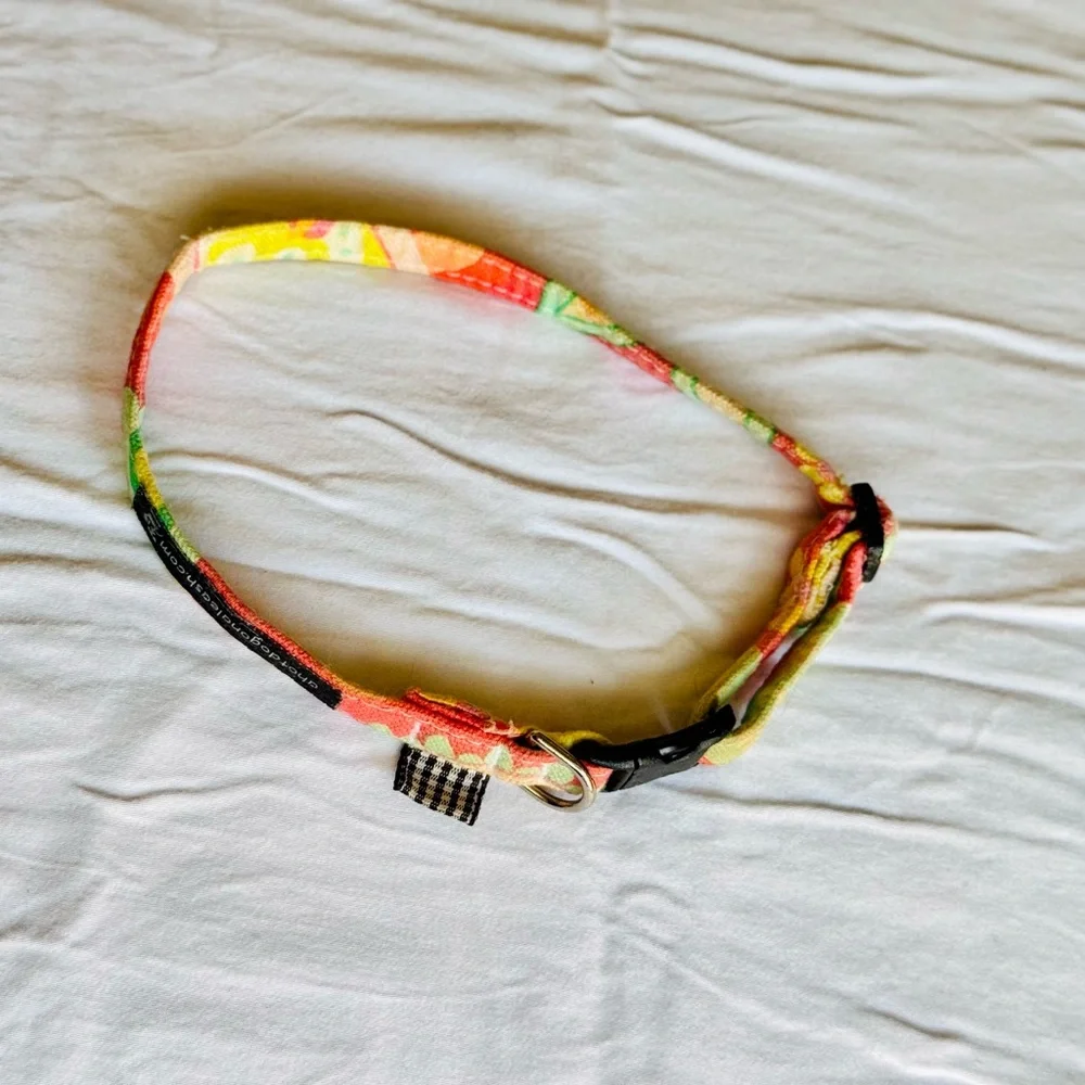 Pet Boutique Orange Yellow & Lime Green Retro Floral Fabric Skinny Dog Collar